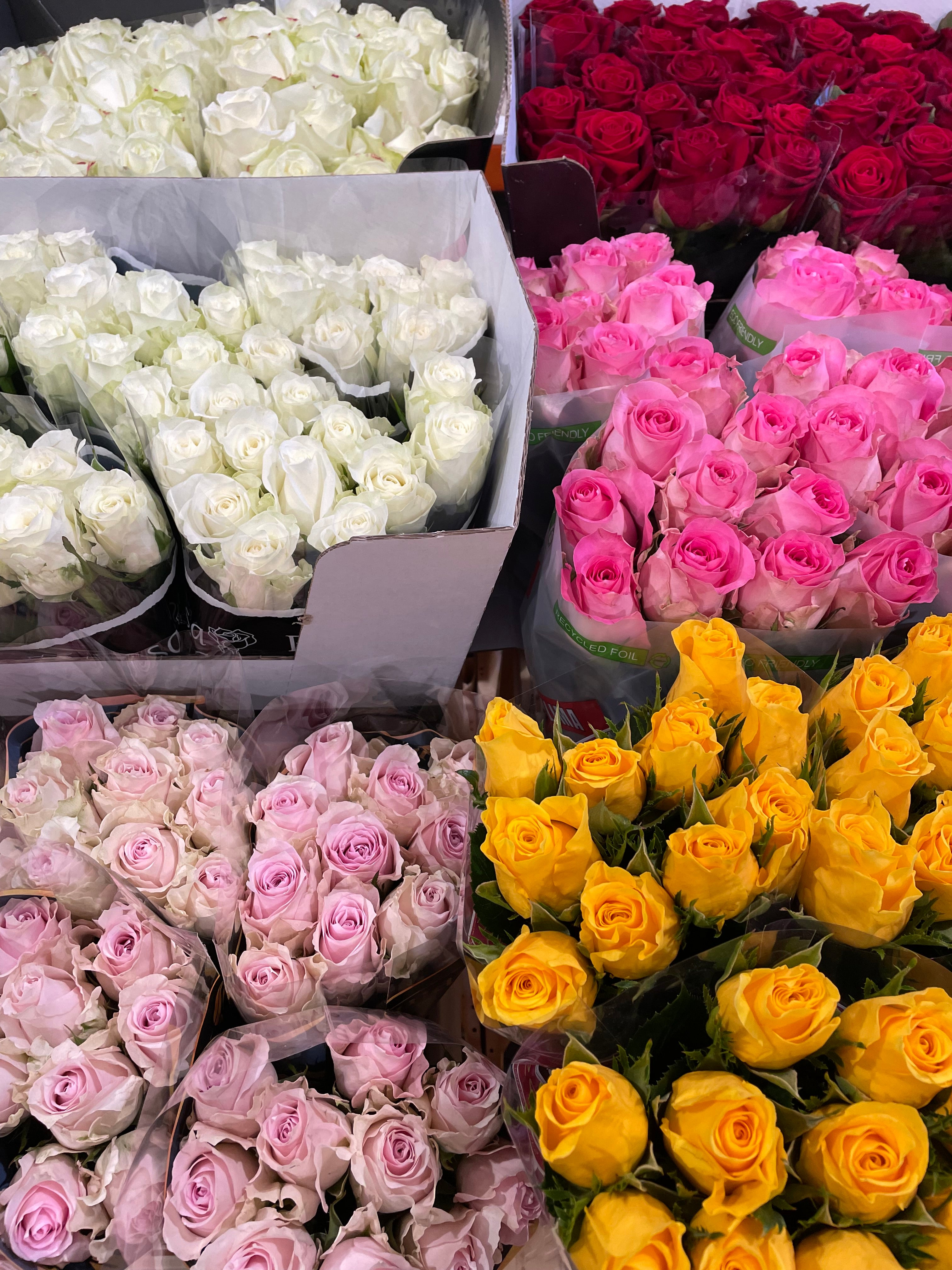 Rose - Wholesalers Choice