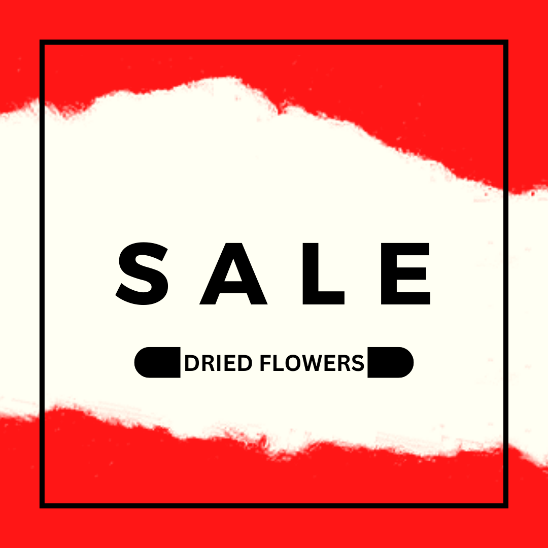 Dried Flower Sale