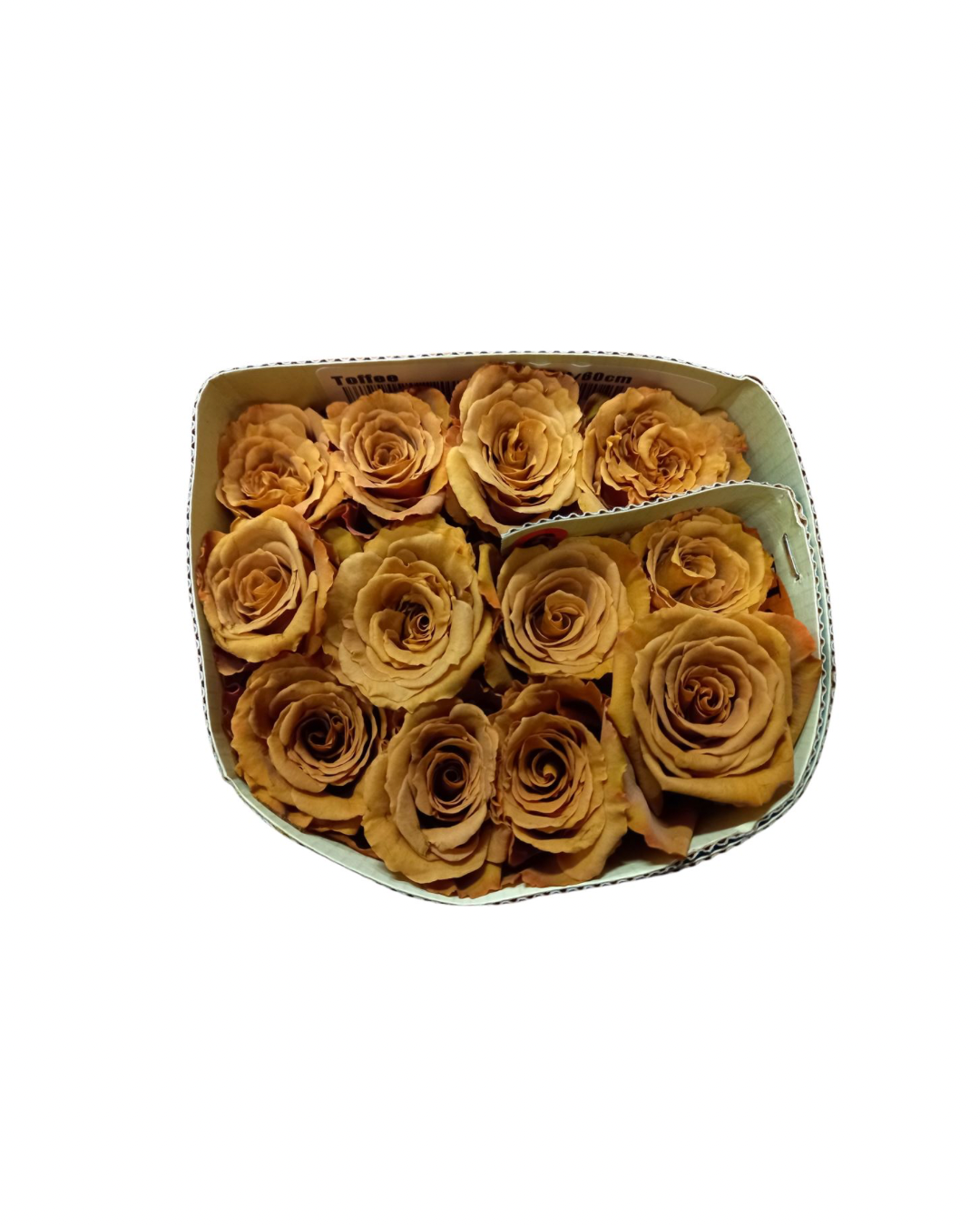 Ecuadorean Roses