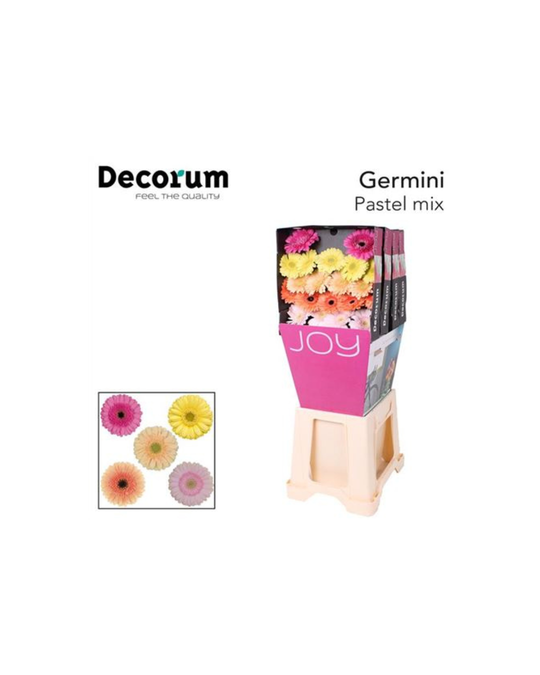 Germini Mix Pastel