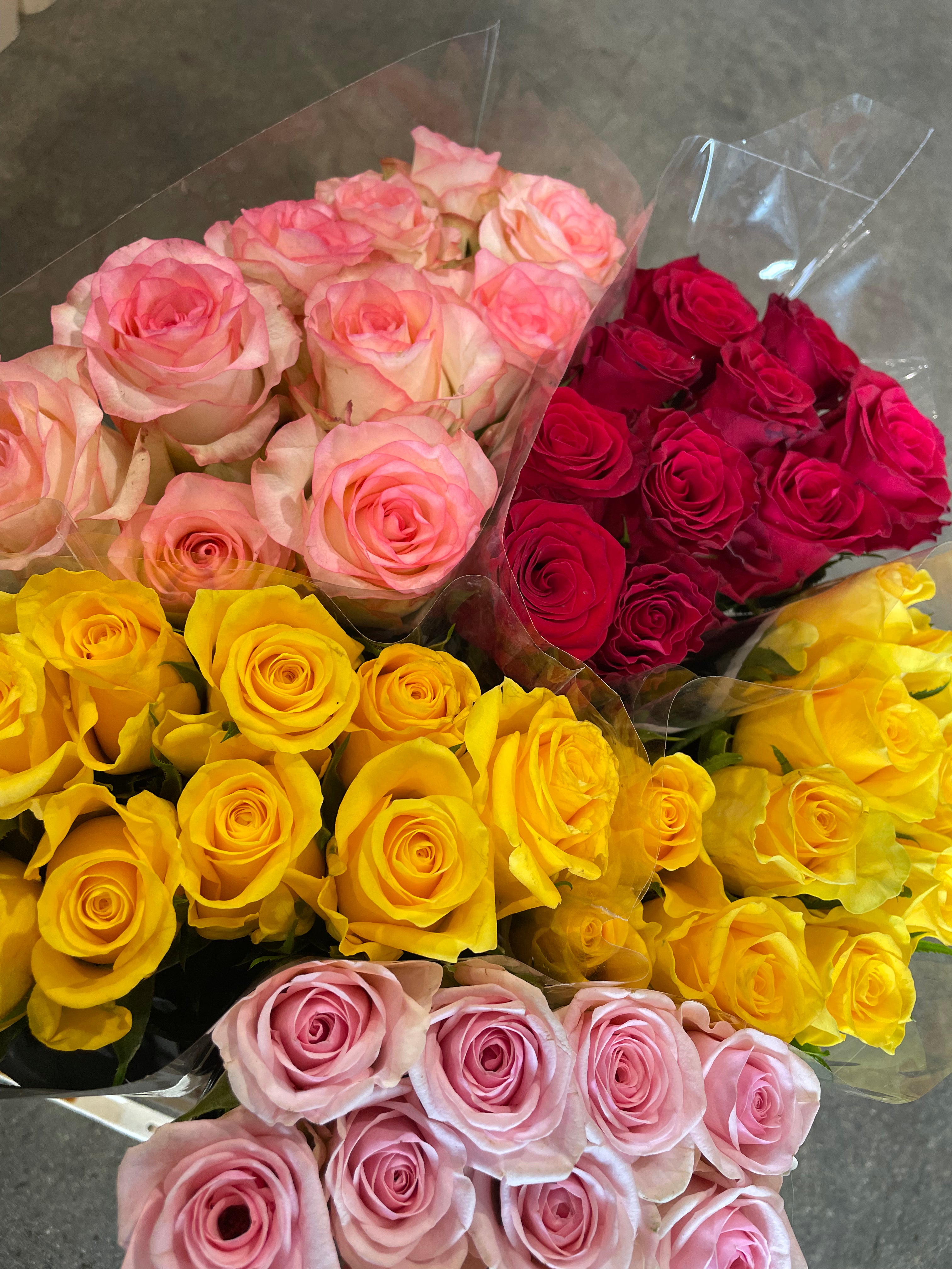 Rose(40cm) - Wholesalers Choice