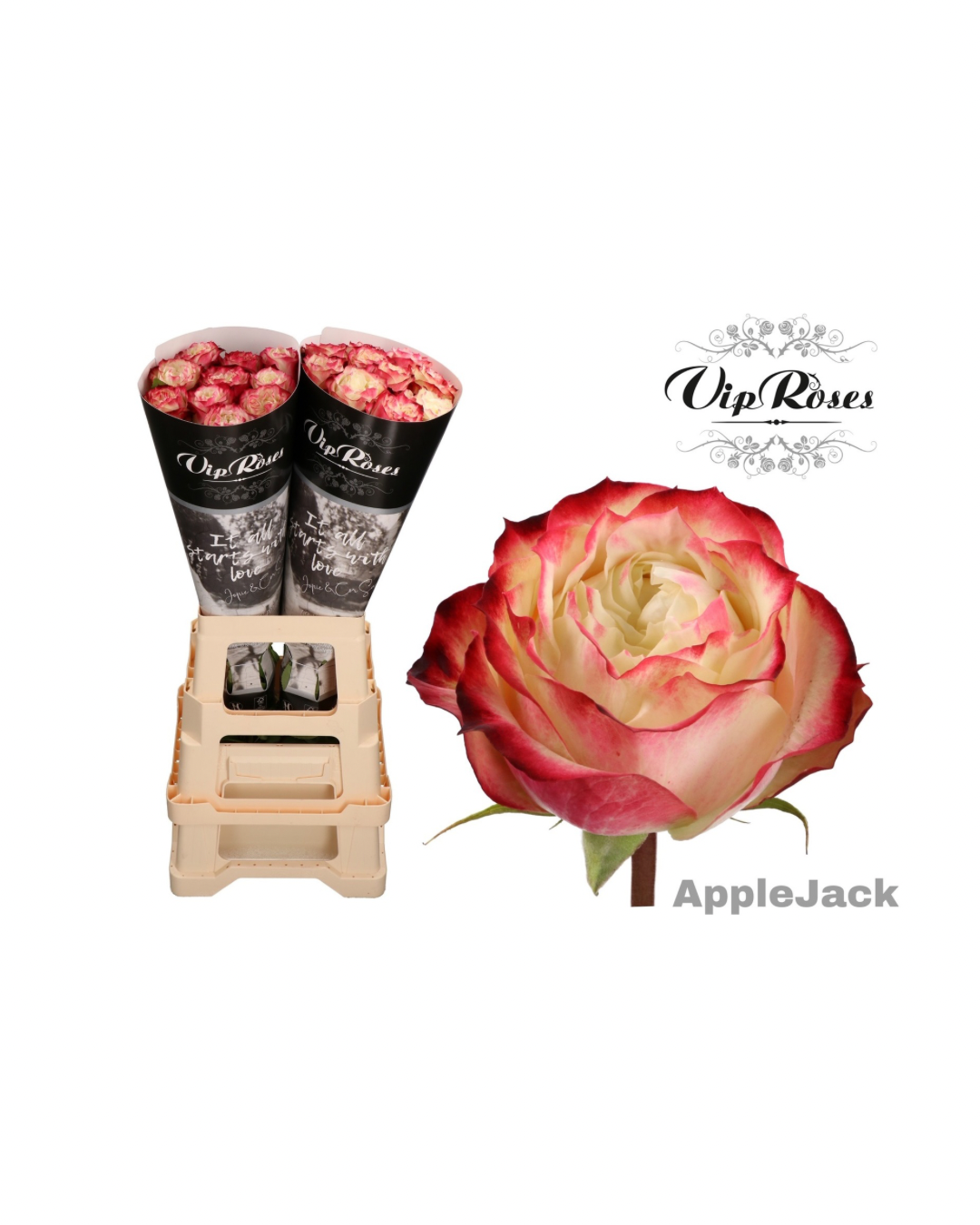 Rose Apple Jack (VIP)