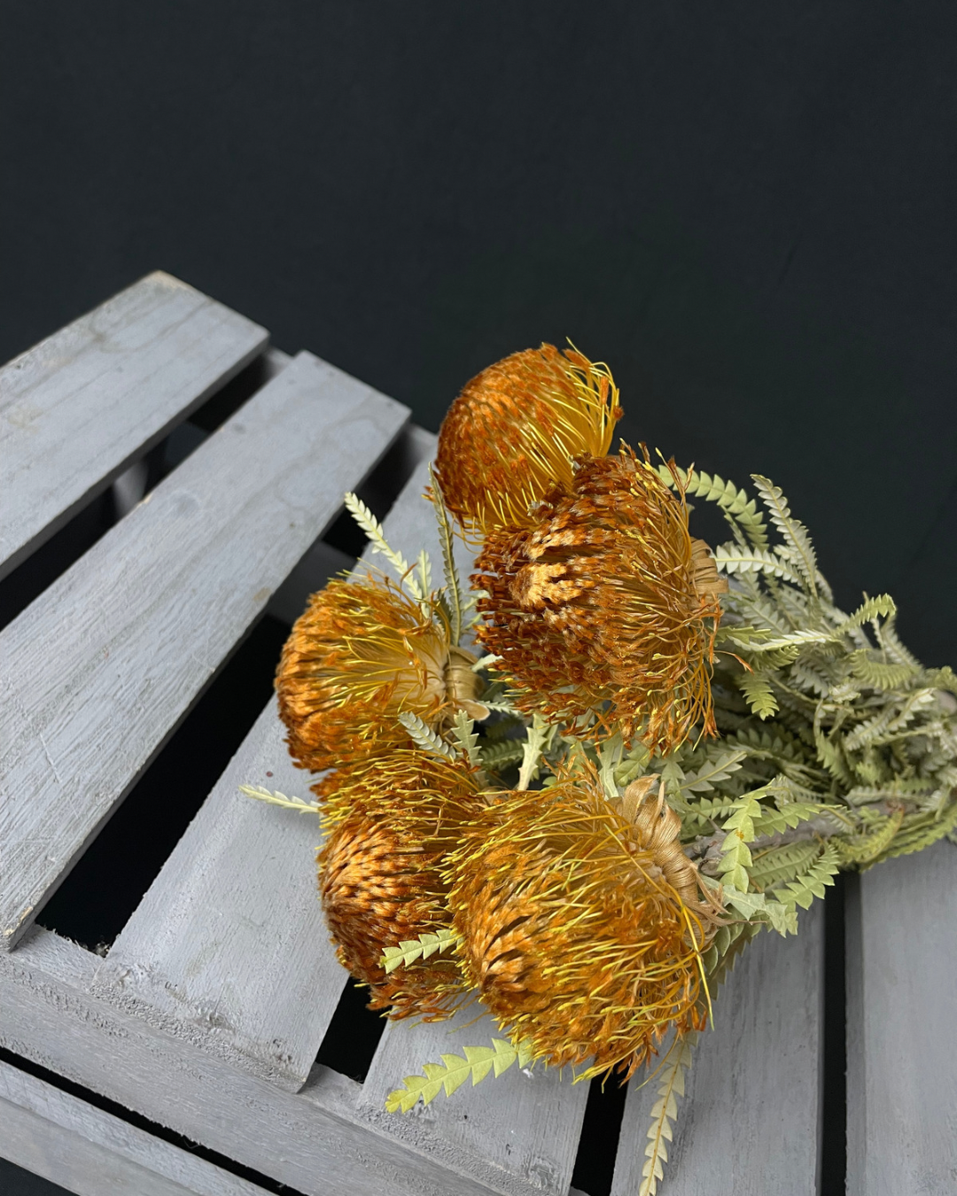 Dried Banksia Dryandra