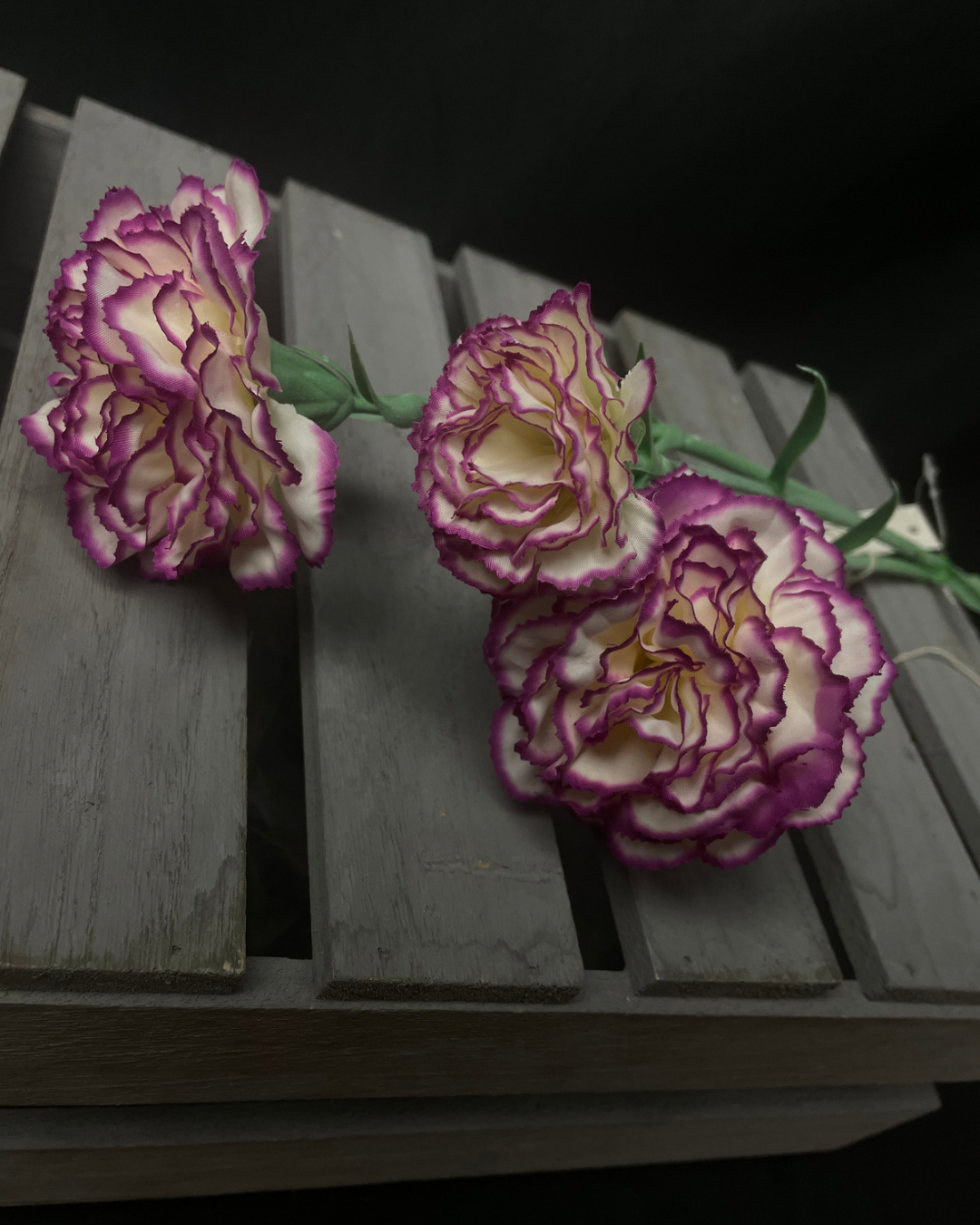 Bloom Carnations